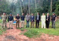 Juzgado Penal de Garantías de Saltos del Guairá autoriza incineración de estupefacientes