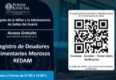 Registro de Deudores Alimentarios Morosos en el Juzgado de la Niñez y la Adolescencia de Saltos del Guairá.