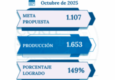 Producción mensual de octubre del 2025 supera ampliamente metas proyectadas en la XV Circunscripción Judicial de Canindeyú